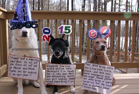 Happy New Year